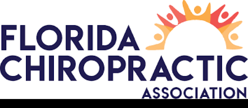 The Florida Chiropractic Association Connections: Redefined