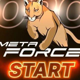 Metaforce 